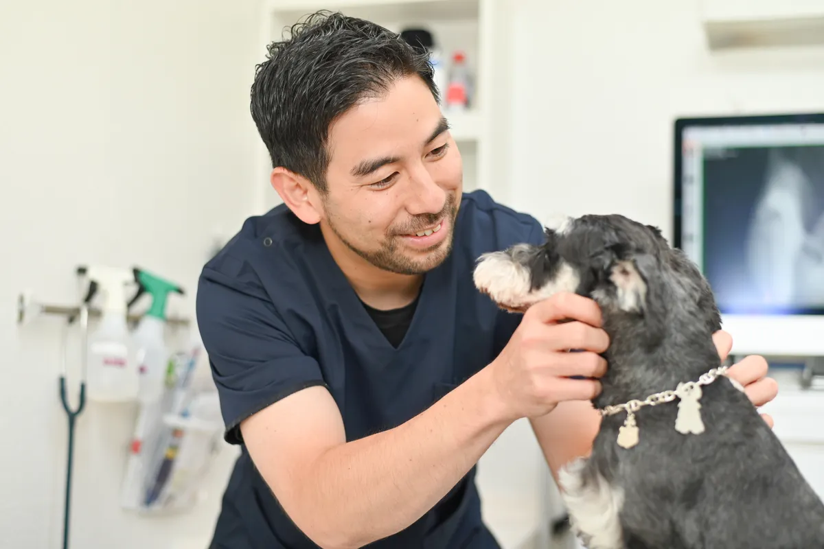 犬を優しく診察する院長